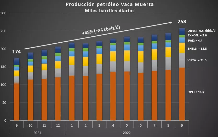 VACA MUERTA PRODUCCION PETROLEO SEPT21-22