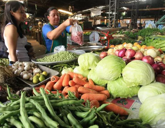 VERDURAS