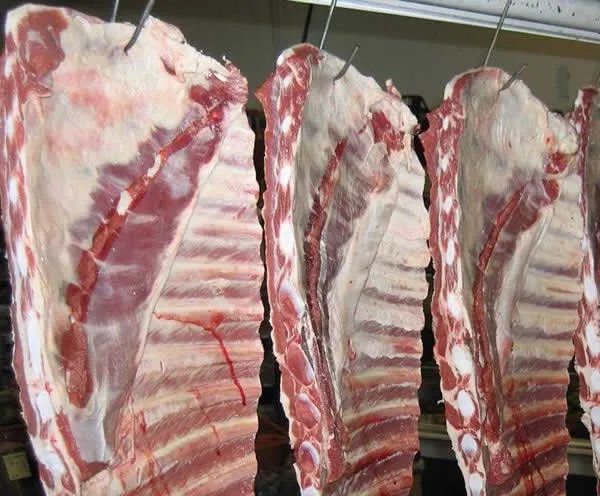 ASADO5