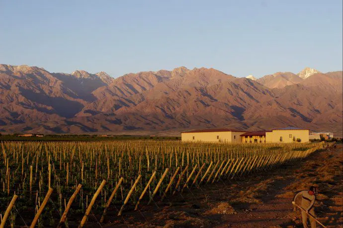 MENDOZA