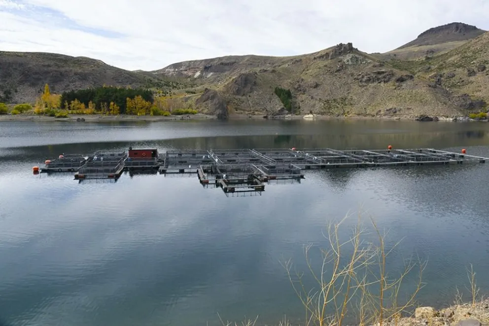 NEUQUEN TRUCHAS3