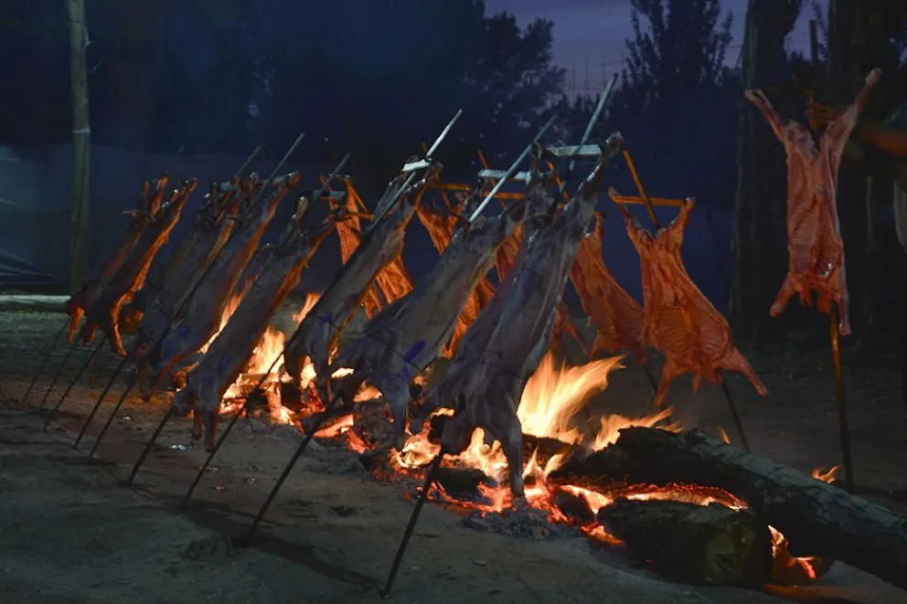 TURISMO NQN CHIVITOS