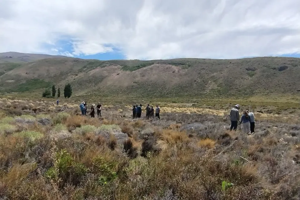 EMERGENCIA AGROPECUARIA NQN1