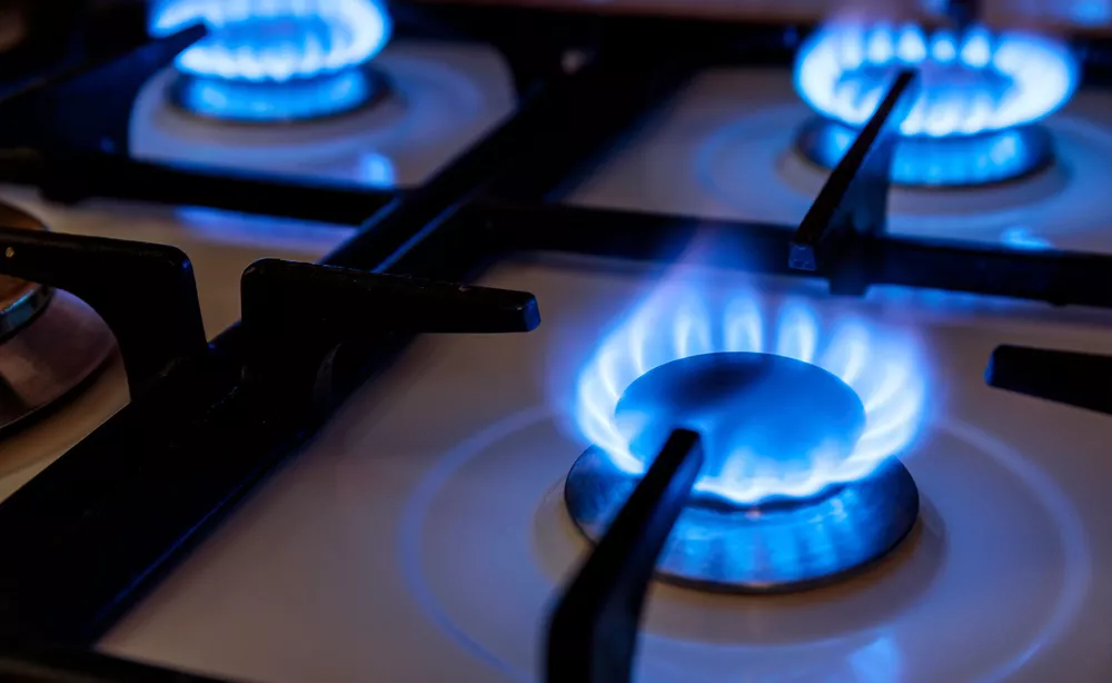 GAS6