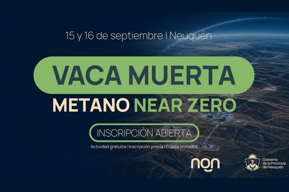 VACA MUERTA METANO