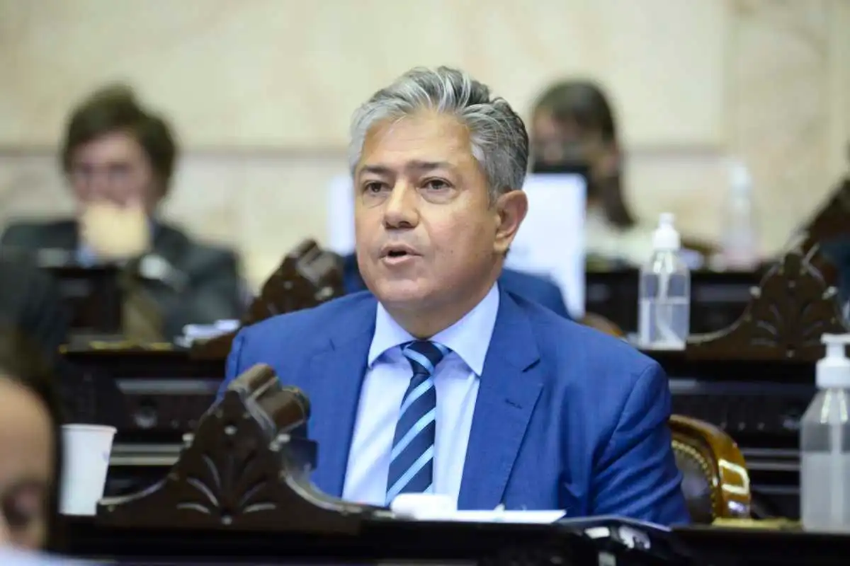 ROLO DIPUTADO