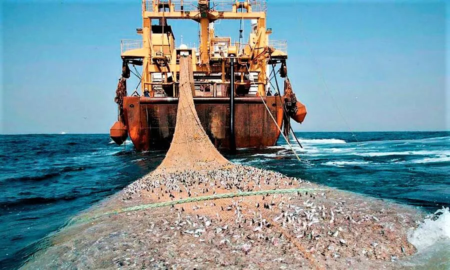 PESCA