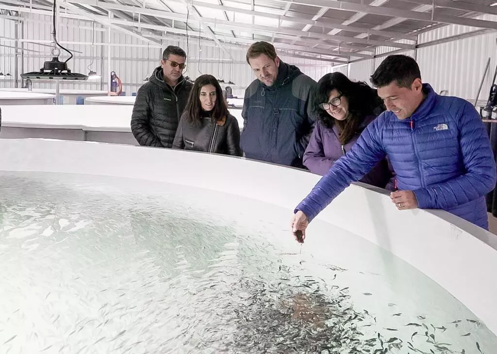 KOOPMAN PLANTA PESCADO