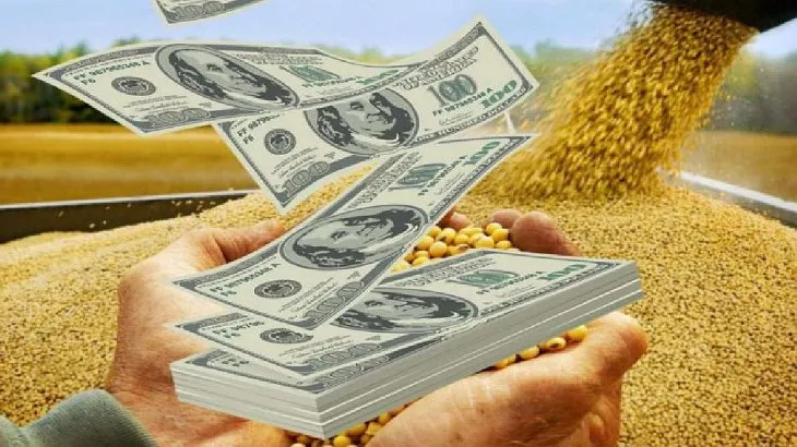 DOLAR SOJA2