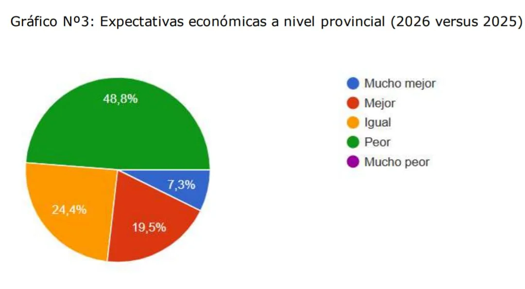 COMERCIOS NQN ESPECTATIVAS PROVINCIAL