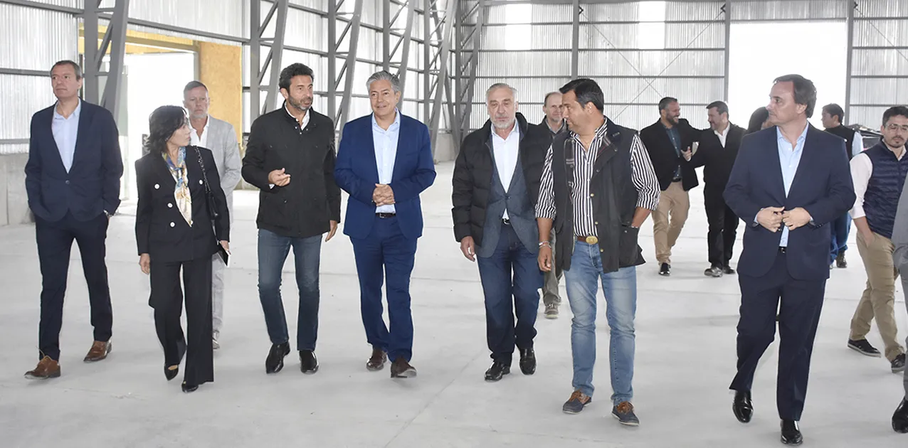 ZONA FRANCA ZAPALA ROLO