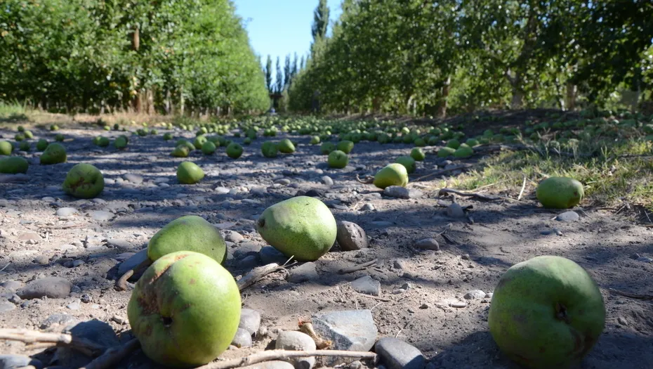 CHACRAS ABANDONADAS1