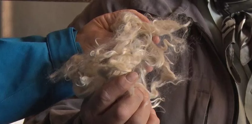 MOHAIR6