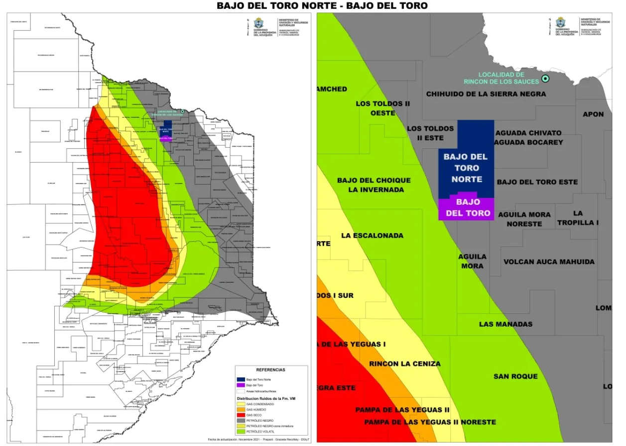 EQUINOR BAJO DEL TORO