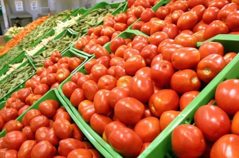 TOMATE1