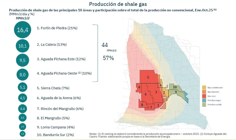VACA MUERTA PRODUCCION GAS ENERO-OCTUBRE25