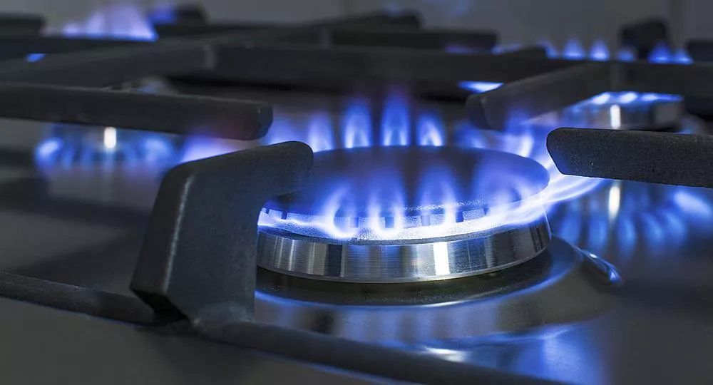 GAS5
