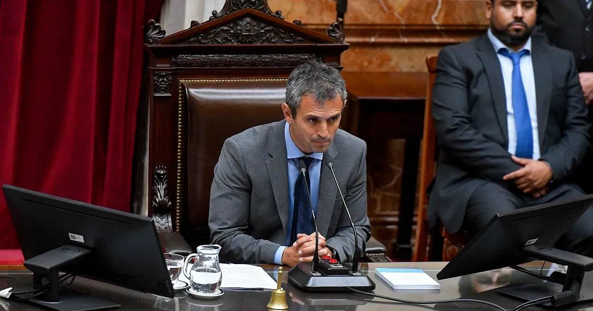 MARTIN MENEM DIPUTADOS