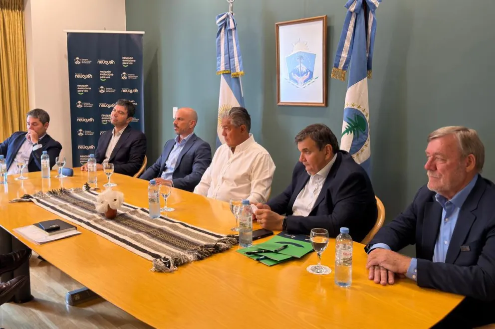 FIGUEROA MESA VACA MUERTA