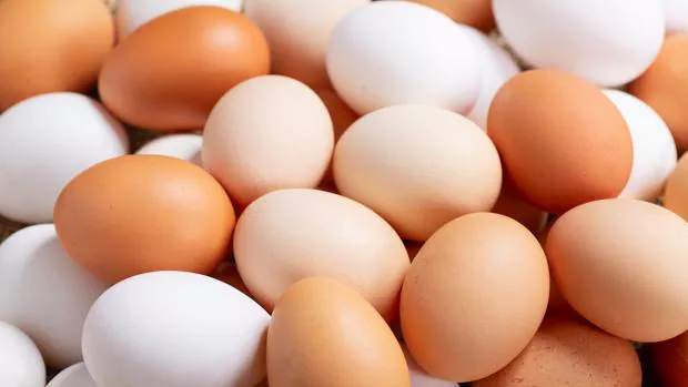 HUEVOS