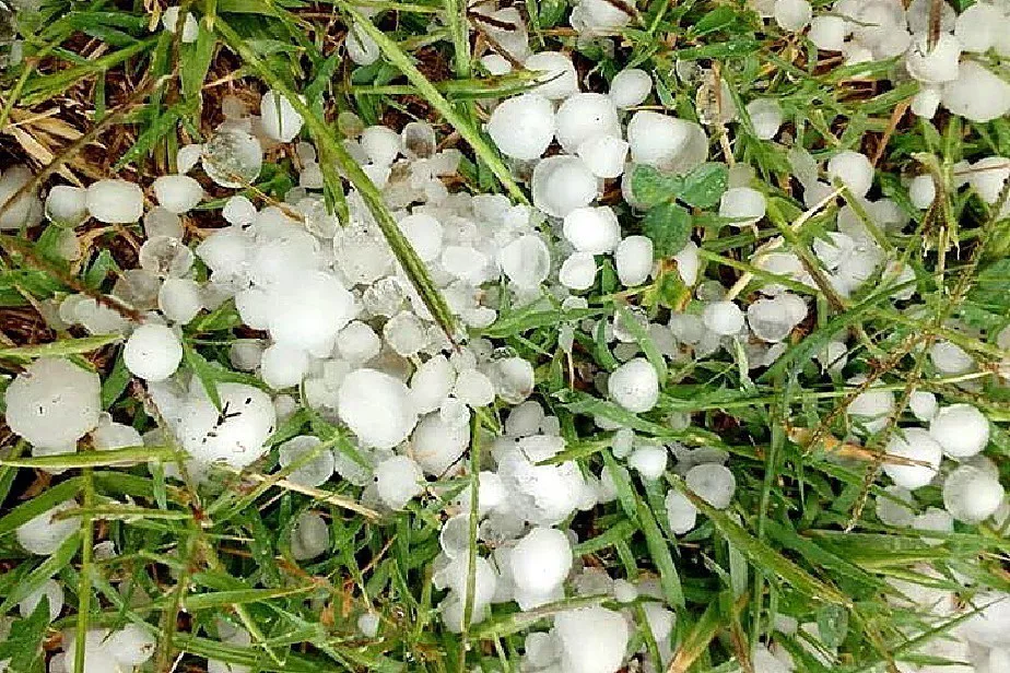 GRANIZO