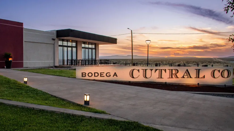 BODEGA CUTRAL CO1