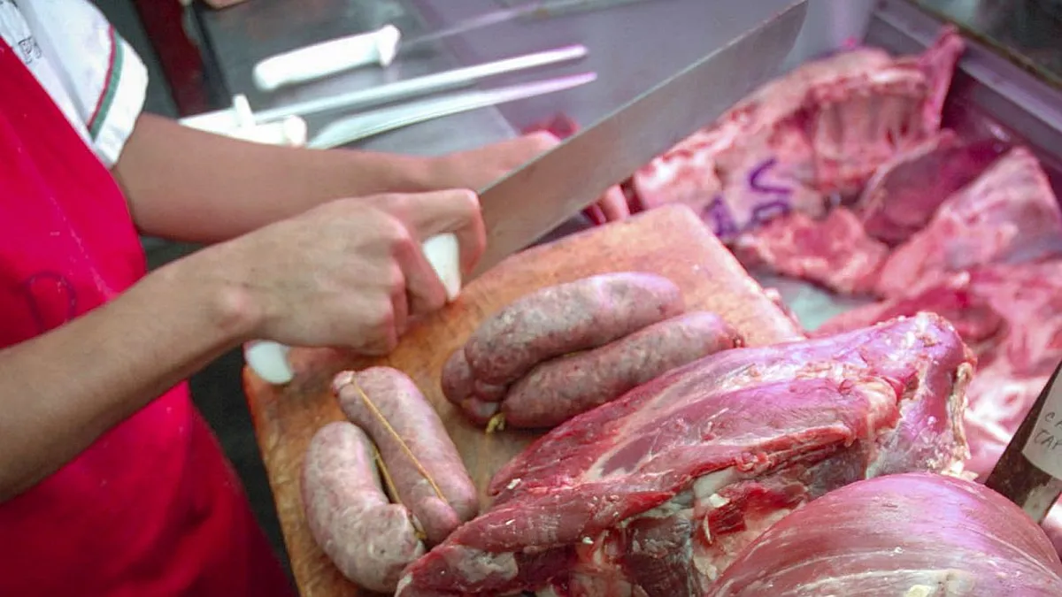 CARNES14