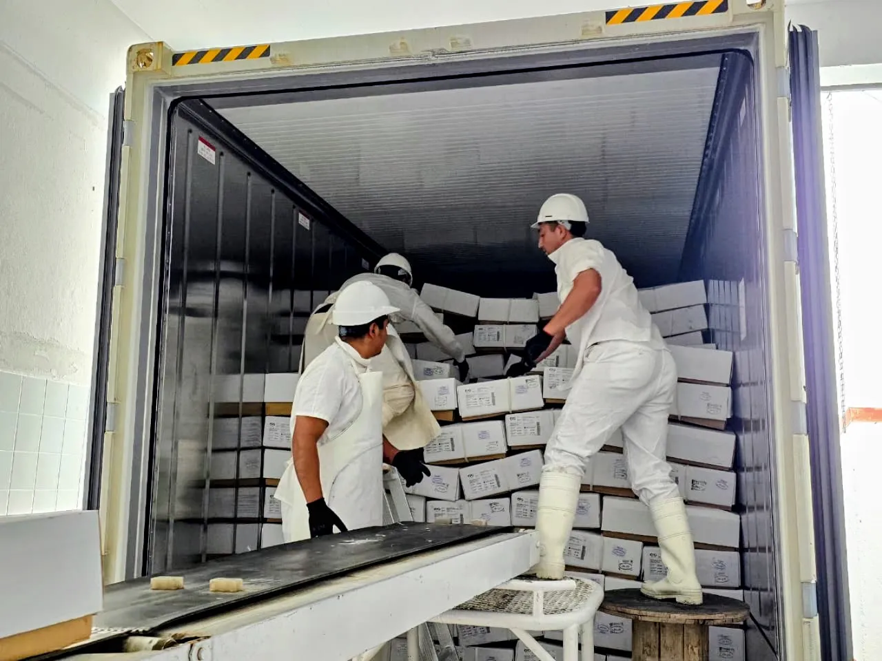 CARNE OVINA PATAGONIA