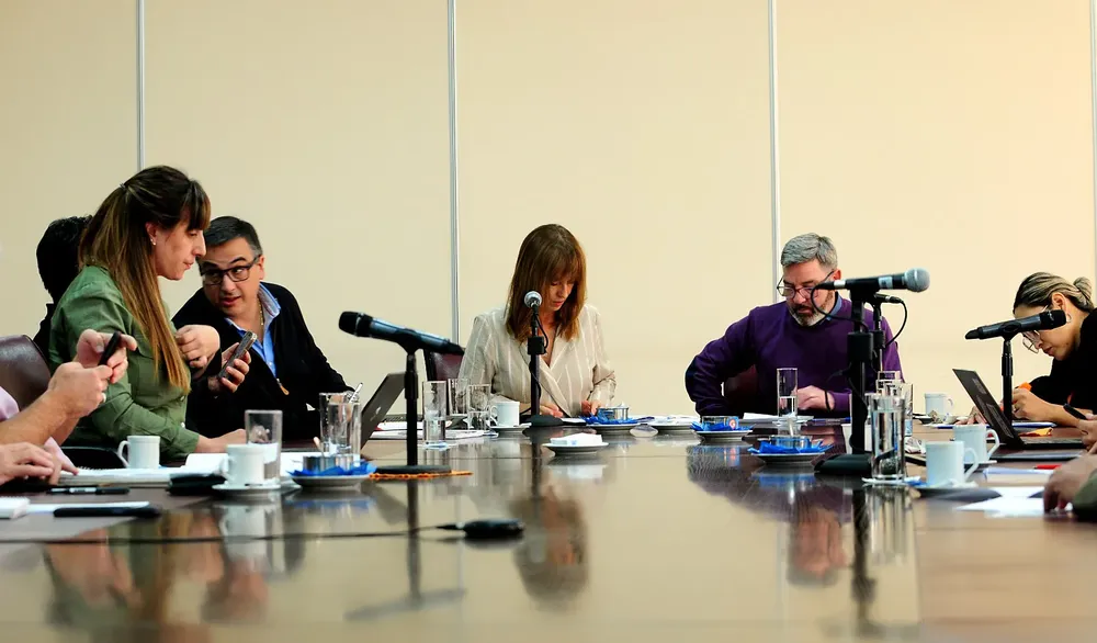 LEGISLATURA NQN FONDO ANTICICLICO