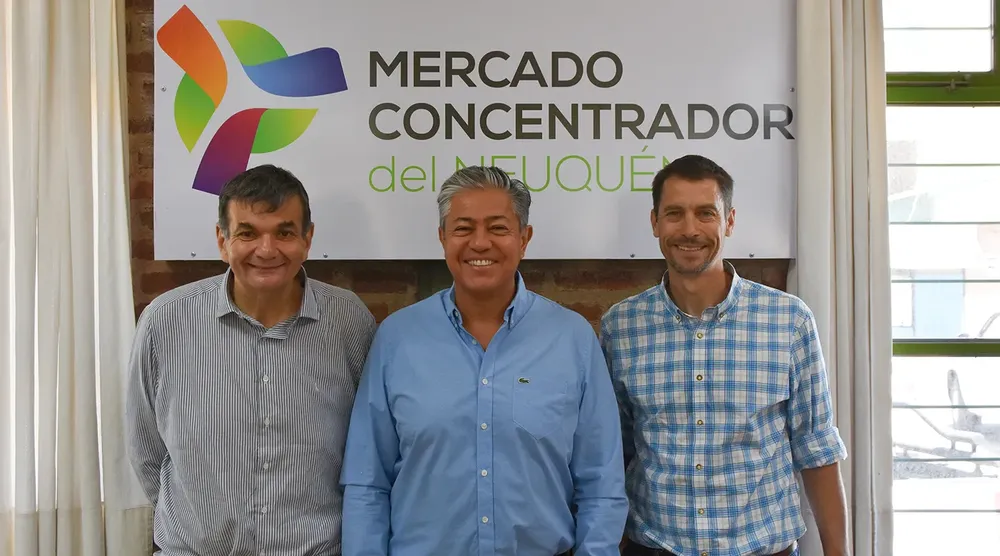 ROLO MERCADO CONCENTRADOR