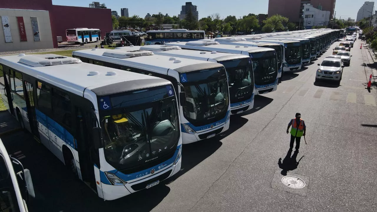 COLECTIVOS NQN6