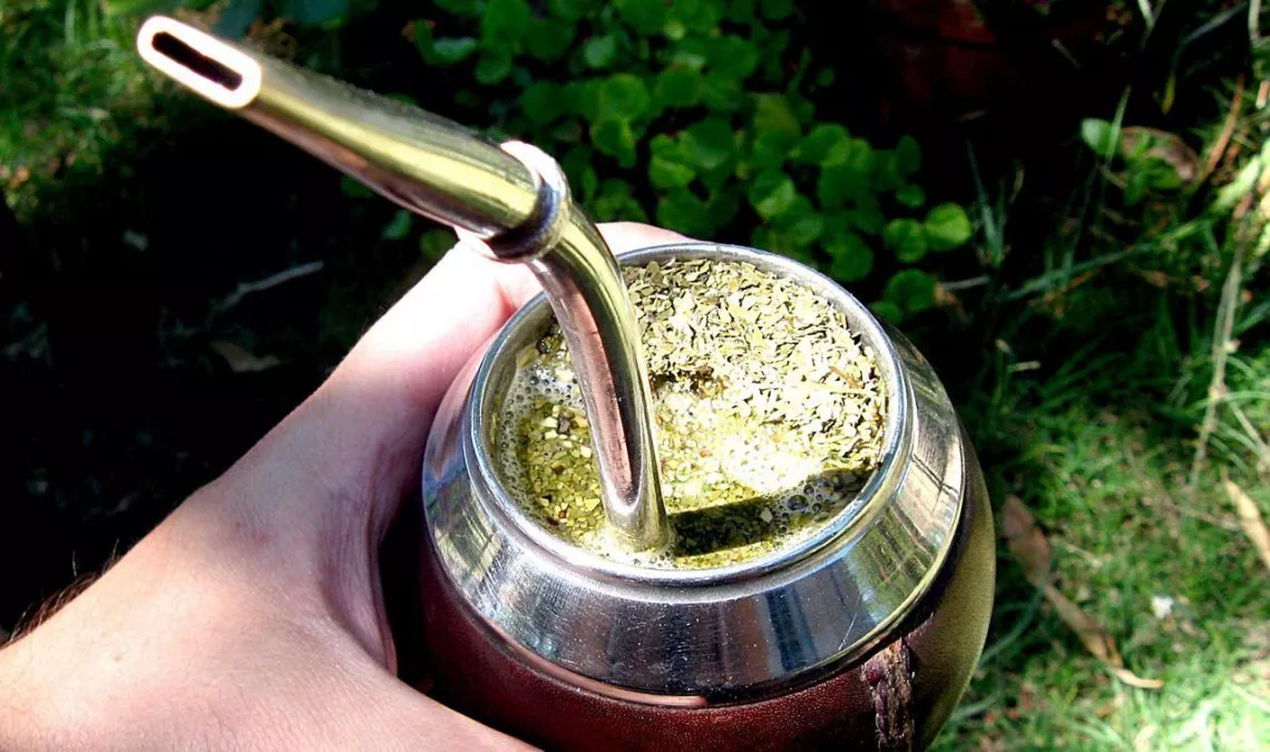 YERBA MATE