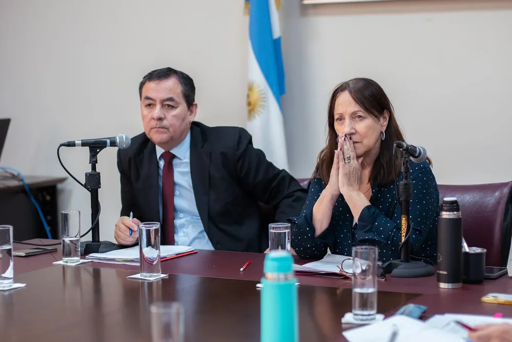 LEGISLATURA ZULMA REINA