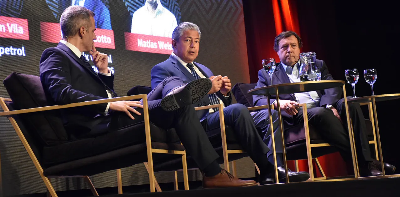 ROLO VACA MUERTA INSIGHT