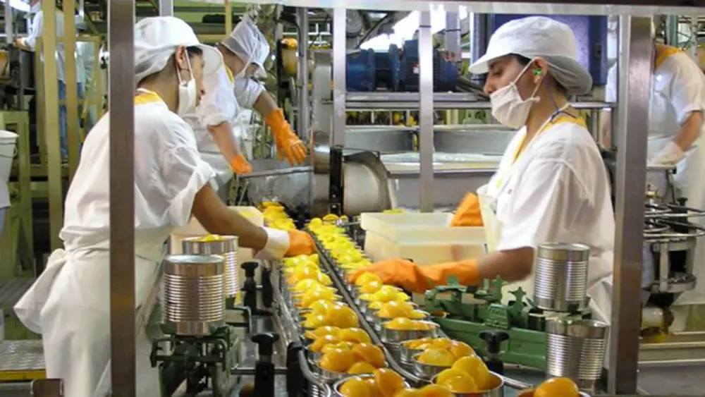 INDUSTRIA ALIMENTACION1